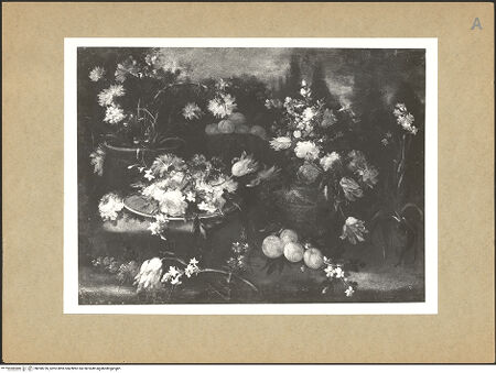 Vorderseite von bh098726_recto