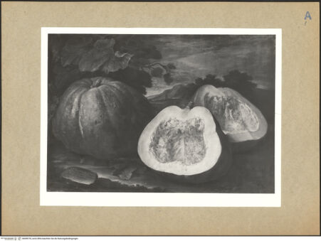 Vorderseite von bh098733_recto