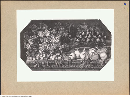 Vorderseite von bh098748_recto