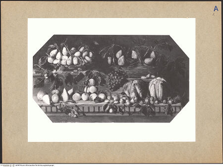 Vorderseite von bh098749_recto