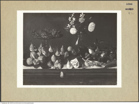 Vorderseite von bh098760_recto