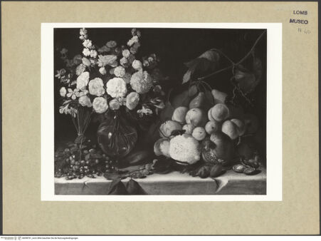 Vorderseite von bh098761_recto