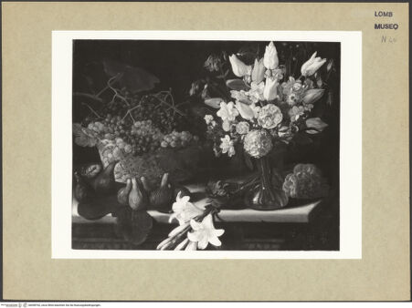 Vorderseite von bh098762_recto