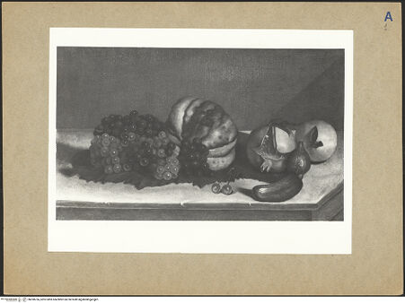 Vorderseite von bh098766_recto