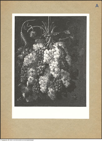 Vorderseite von bh098770_recto