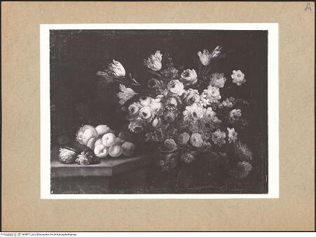 Vorderseite von bh098771_recto