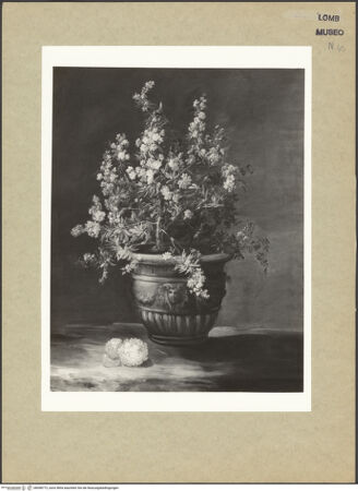 Vorderseite von bh098772_recto