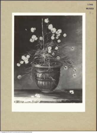 Vorderseite von bh098773_recto