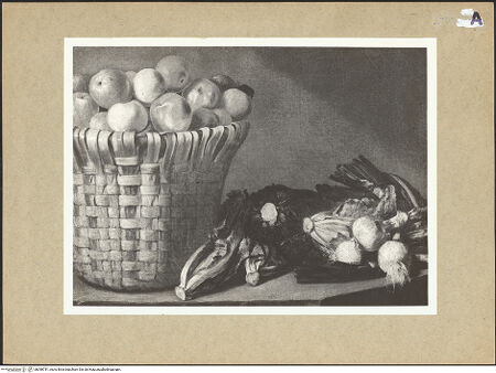 Vorderseite von bh098781_recto