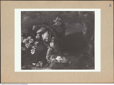 Vorderseite von bh098796_recto