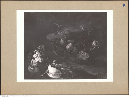 Vorderseite von bh098797_recto