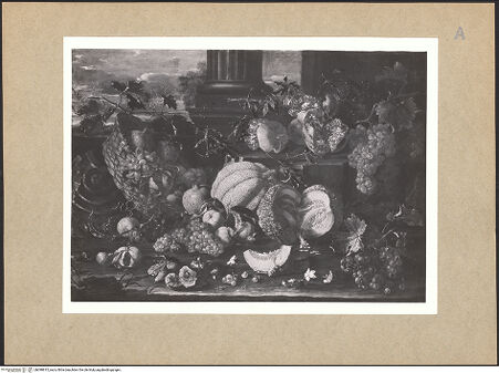 Vorderseite von bh098815_recto