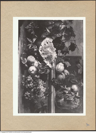 Vorderseite von bh098816_recto