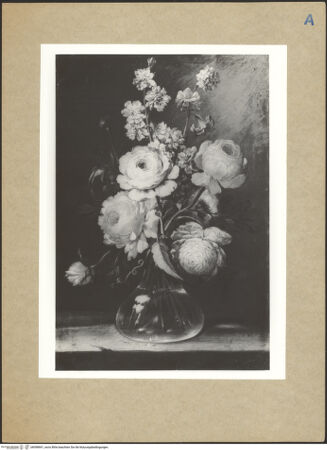 Vorderseite von bh098841_recto