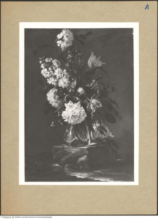 Vorderseite von bh098842_recto