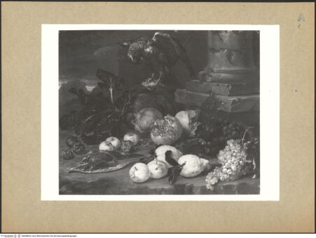 Vorderseite von bh098843_recto