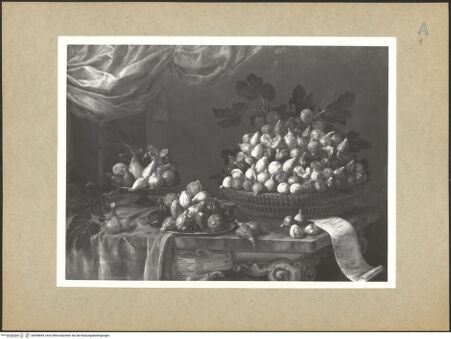 Vorderseite von bh098844_recto