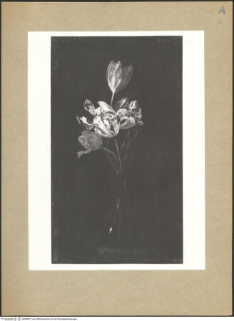 Vorderseite von bh098857_recto