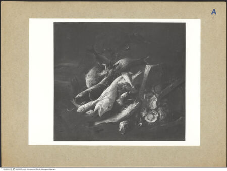 Vorderseite von bh098859_recto