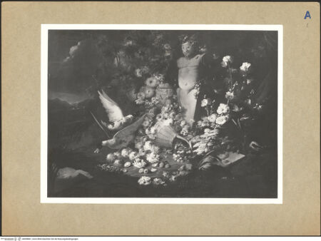 Vorderseite von bh098861_recto