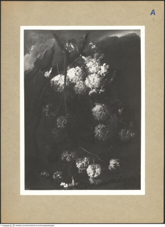 Vorderseite von bh098862_recto