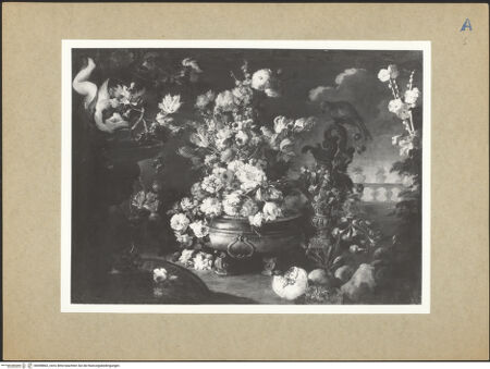 Vorderseite von bh098863_recto