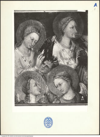 Vorderseite von bh098993_recto