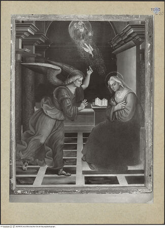 Vorderseite von bh099045_recto