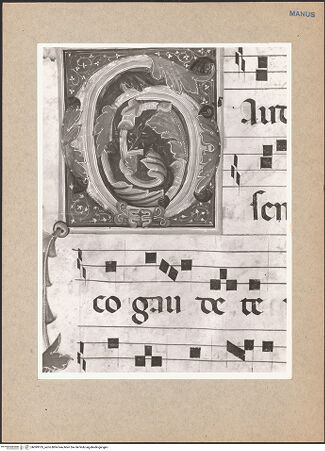 Vorderseite von bh099105_recto