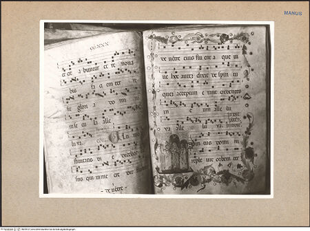 Vorderseite von bh099107_recto