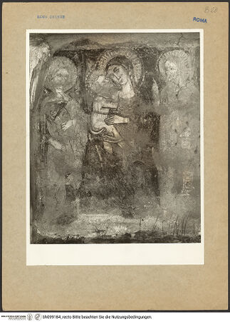 Vorderseite von bh099184_recto