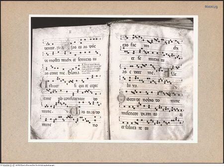 Vorderseite von bh099202_recto