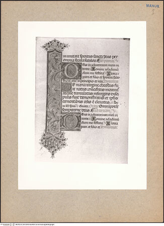 Vorderseite von bh099239_recto