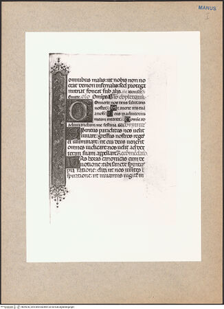 Vorderseite von bh099246_recto