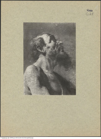 Vorderseite von bh099288_recto