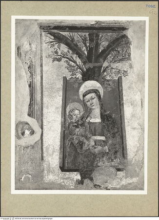 Vorderseite von bh099348_recto