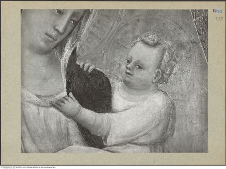 Vorderseite von bh099501_recto