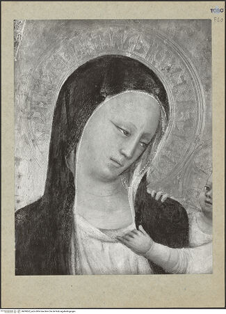 Vorderseite von bh099502_recto