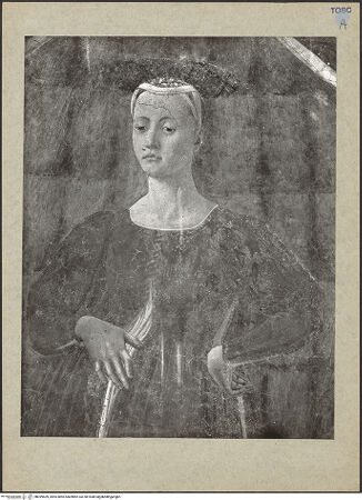 Vorderseite von bh099559_recto