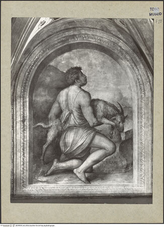 Vorderseite von bh099569_recto