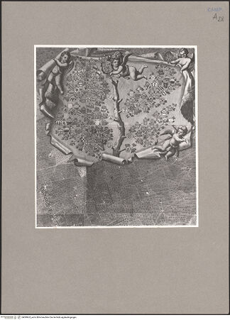 Vorderseite von Sopr. BAS NA [https://www.deutsche-digitale-bibliothek.de/content/lizenzen/rv-ez/] Mappa topografica della città di Napoli e de' suoi contorni - Detail: Stammbaum, bh099652_recto. Foto.