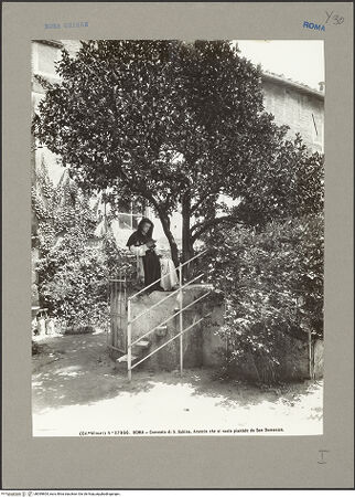 Vorderseite von bh099804_recto