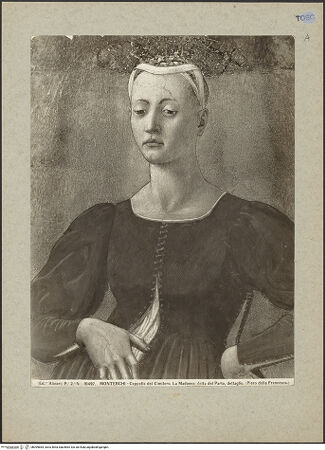 Vorderseite von bh099864_recto