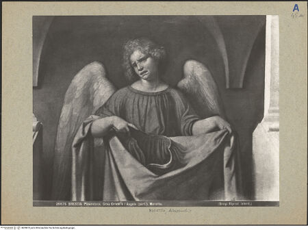 Vorderseite von bh099873_recto