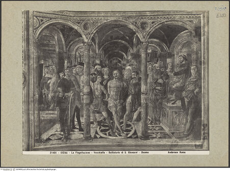 Vorderseite von bh099884_recto