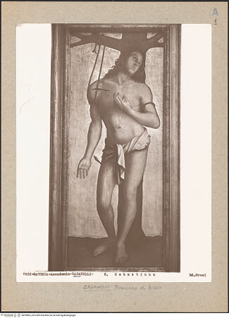 Vorderseite von bh099885_recto