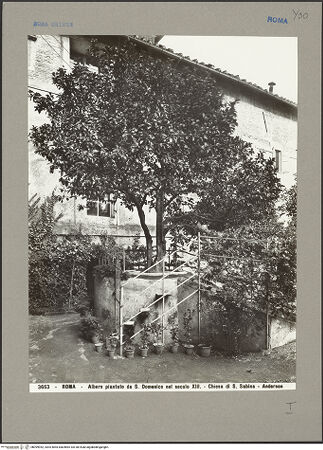 Vorderseite von bh099952_recto