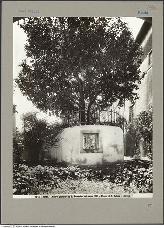 Vorderseite von bh099953_recto