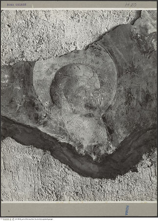 Vorderseite von bh100066_recto