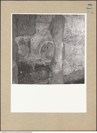 Vorderseite von Bibliotheca Hertziana [https://www.deutsche-digitale-bibliothek.de/content/lizenzen/rv-fz/] Dekoration - Westwand, Detail: Sockelzone, bh100354_recto. Foto.